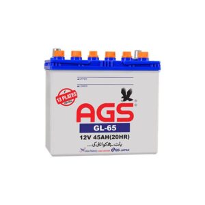 AGS GL65 Battery