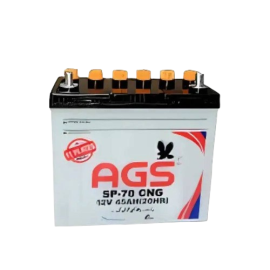 AGS SP70 Battery